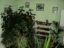 DSC00417
