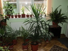 DSC00418