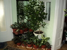 DSC00419