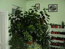 DSC00420