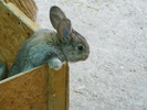DSCF2091