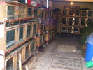 DSCF2097