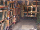 DSCF2098
