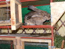DSCF2125