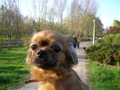 494_picture_100