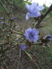 DSCF1092