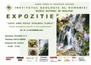 expozitie