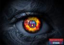 Fc Steaua Bucuresti