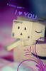 21463008_XONUWYSLB