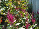 DSC00262
