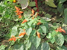 DSC00263