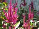 DSC00267