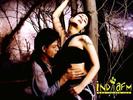 asoka78