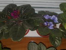 89