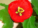 7 oct 2010