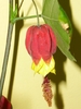 7 oct 2010