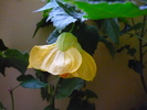 8 oct 2010