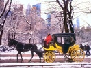scenesofny_csg001_carriagerideincentralpark-1024x768