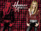 hannah-wp