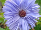 DSC09301