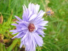 DSC09299