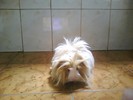 Picture 0129