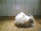 Picture 0131