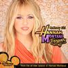 Hannah Montana (2)