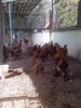 Photo-0014
