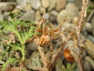 DSCF5693