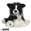 webkinz_border_collie