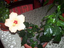 Picture 046