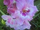 DSC02715