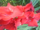 DSC02732