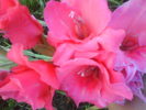 DSC02734