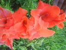 DSC02740