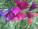 DSC02761