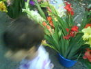 DSC02824