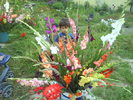 DSC02558