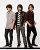 jonas brothers