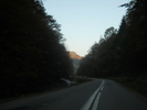 Picture 137