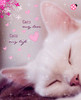 3-Cats-my-loveCatsmy-life-0-9278