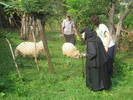 recomandaraugust 2009 028