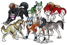 Naruto Group Boy