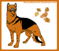 Pein___dog