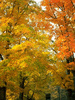 NATURE06