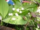 pict0446