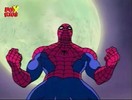 Spiderman