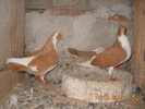 Picture 037