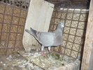 P1020778
